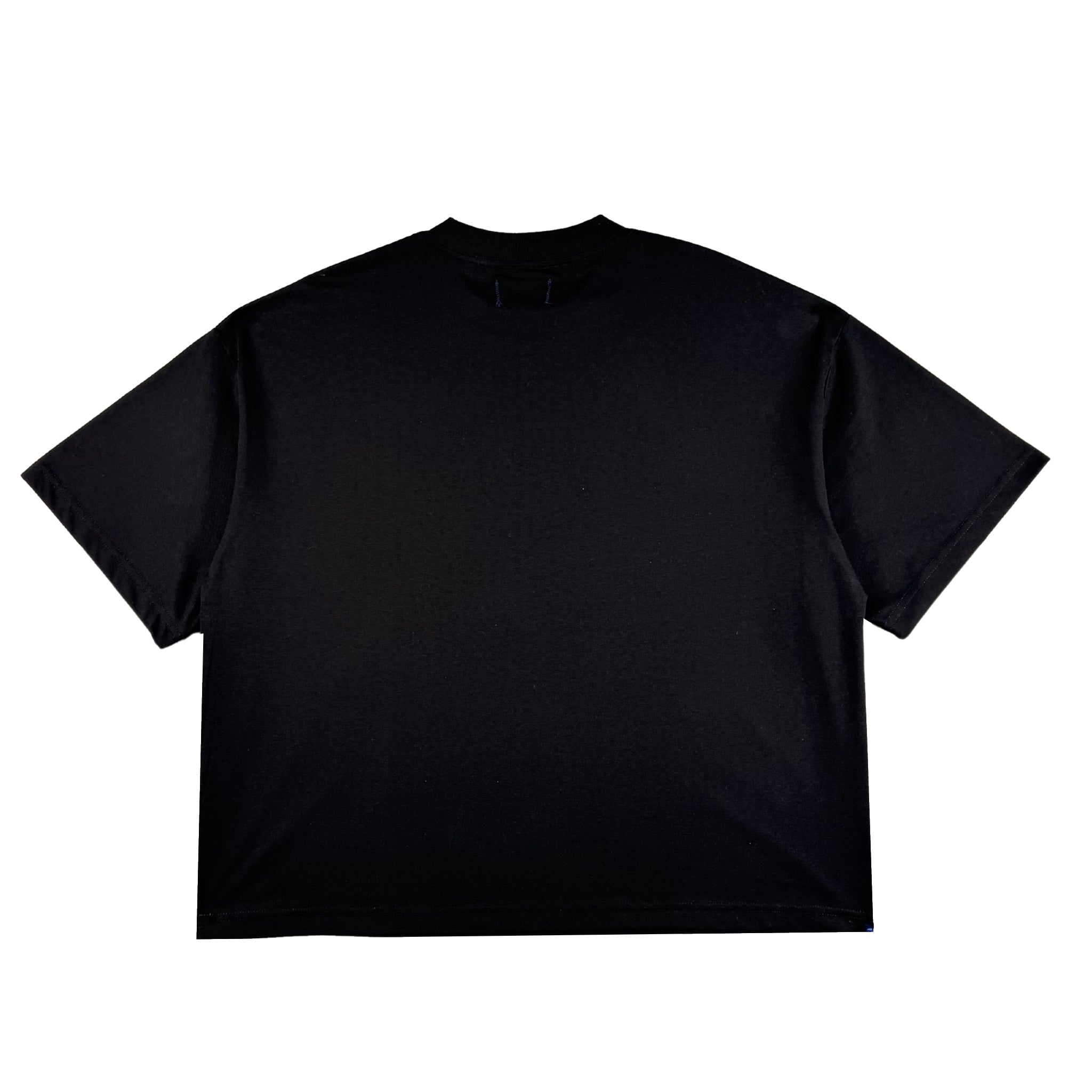 Subtle Tee - Black/Cobalt